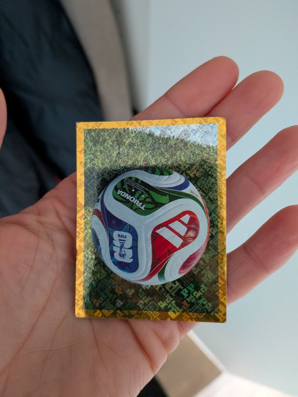 Panini Cartes à collectionner: Panini Bild FWC 5 – D'occasion à Eschenbach SG par SanFranciscoCalifornia