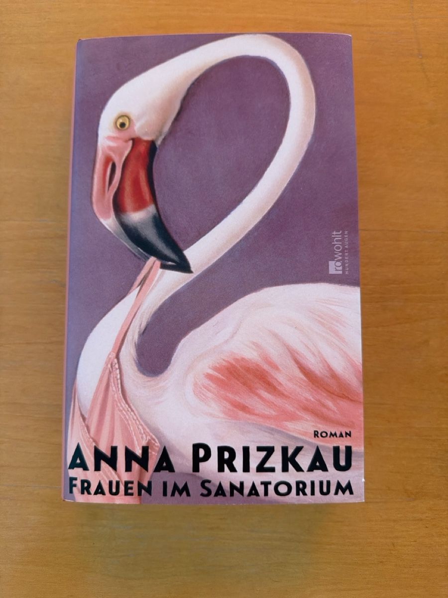 Libri: Frauen im Sanatorium – Usato da Liebefeld venduto da tim_bqw7