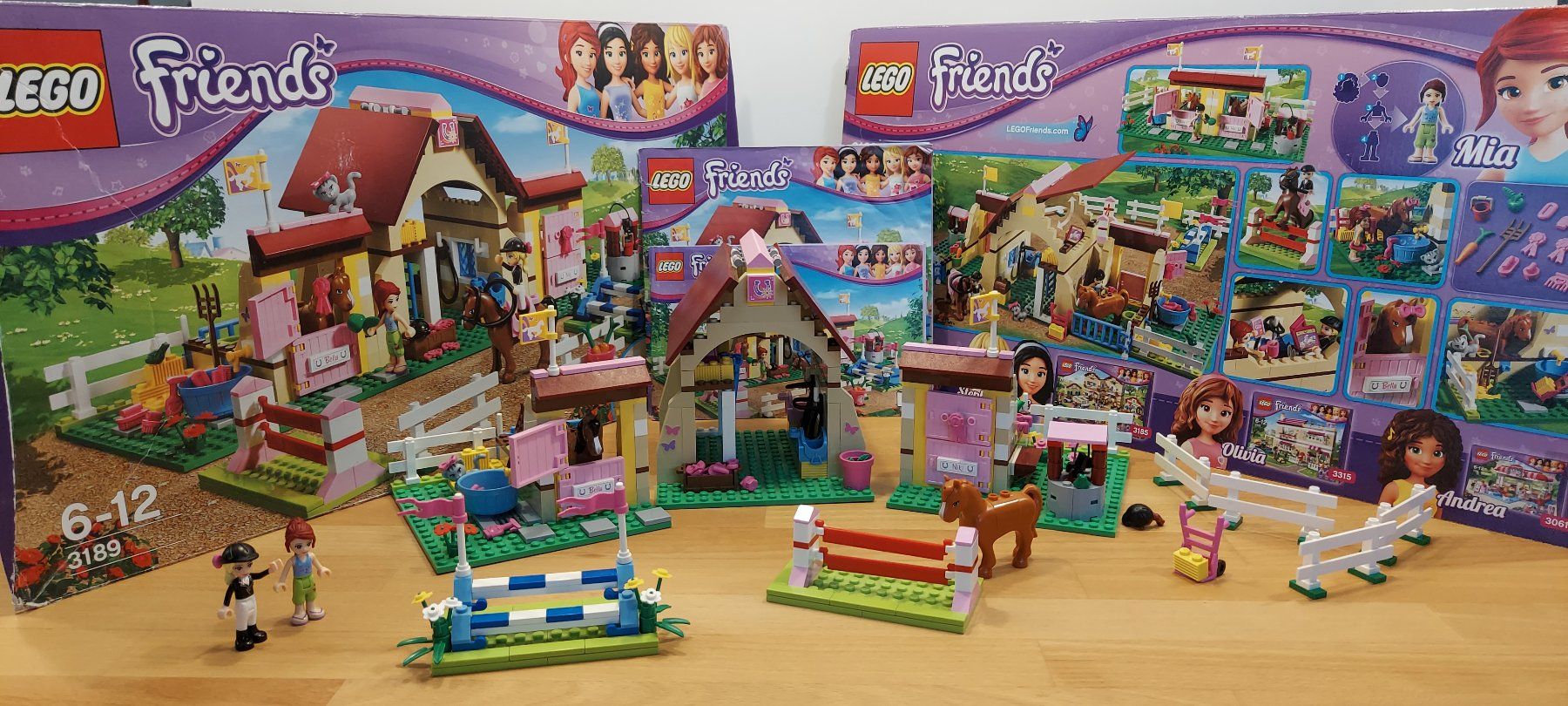 Lego Giocattoli: Lego Friends diverse Sets – Usato da Madetswil venduto da s_l_ss5b 2