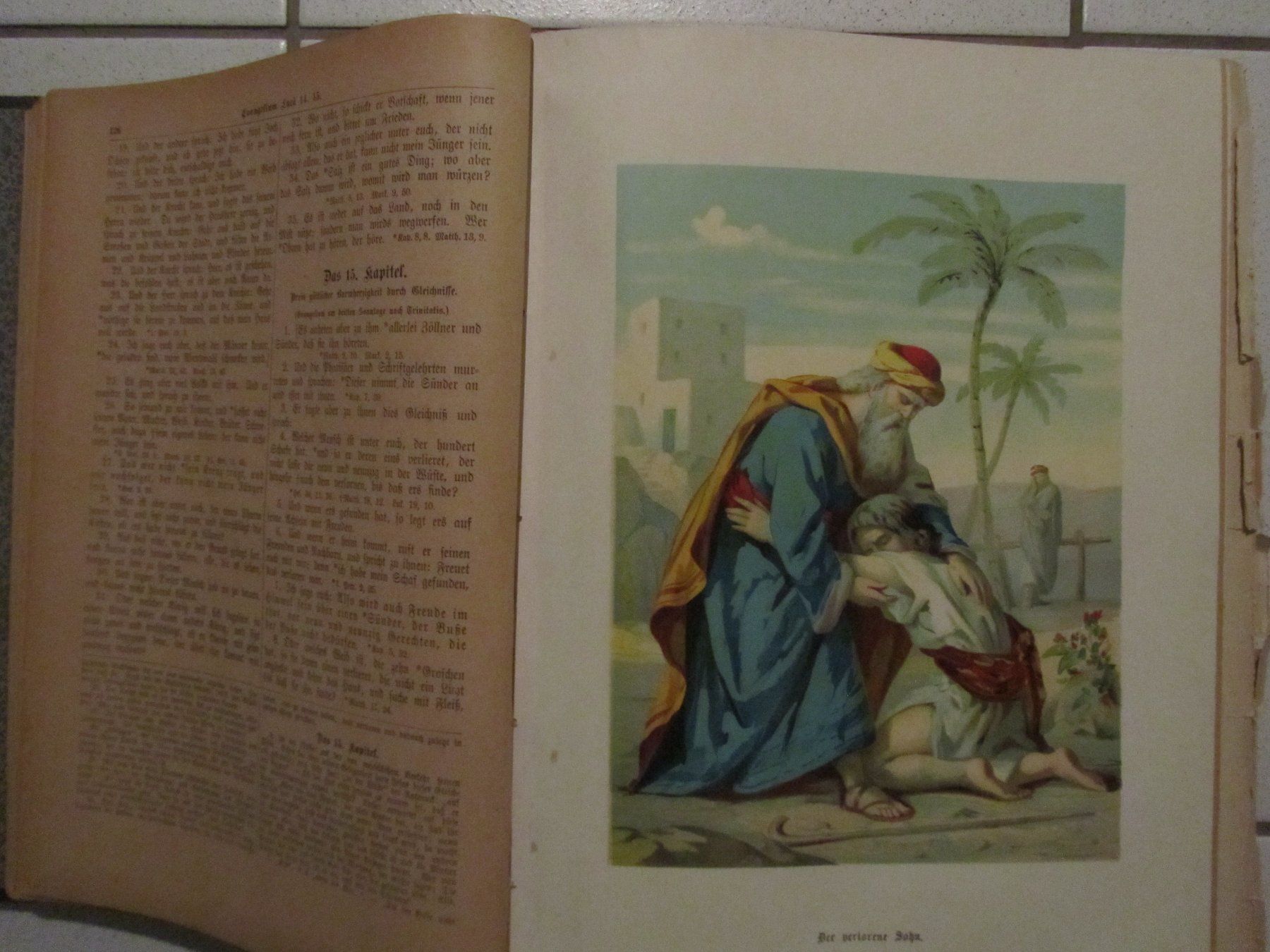 Libri: Illustrierte Familien Bibel – Usato da Weiningen ZH venduto da dietsch57 9