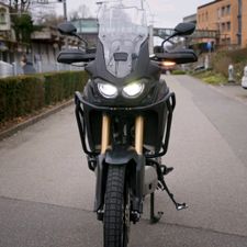 Profile image of Palmer_CR2020