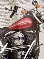 Harley Prospekt, Katalog, Broschüre Softail Custom 1986