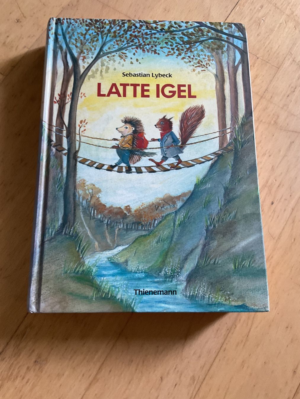 Livres: Buch Latte Igel und der Wasserstein – D'occasion à Bern par Sistakaiman