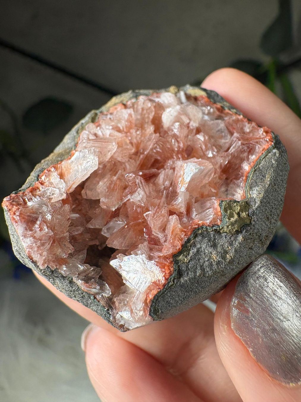 Pietre preziose: Pink Heulandit-Geode – Nuovo e nell'imballaggio originale da Neuheim venduto da m.hald 4