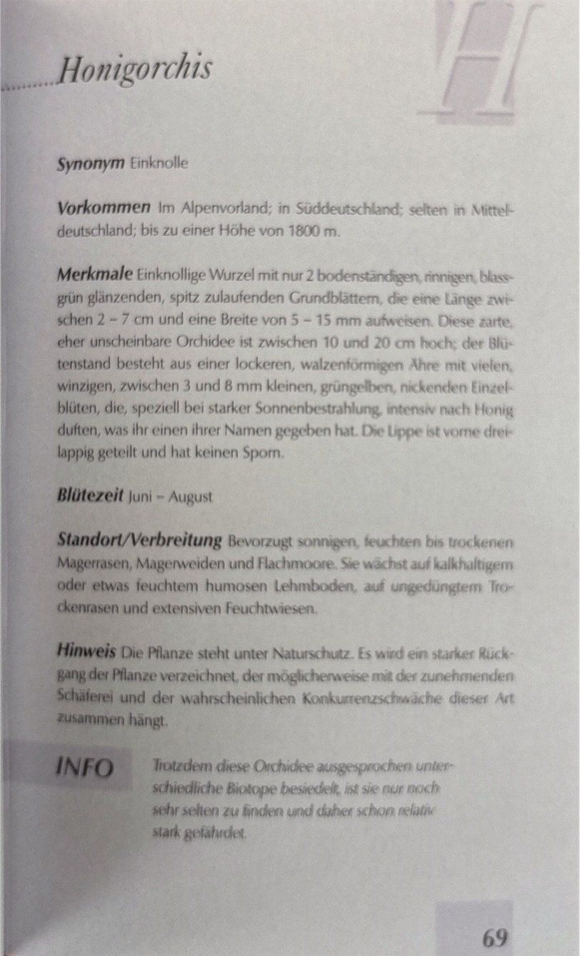 Libri: Handbuch Orchideen – Nuovo (secondo la descrizione) da Sarnen venduto da Livres 4