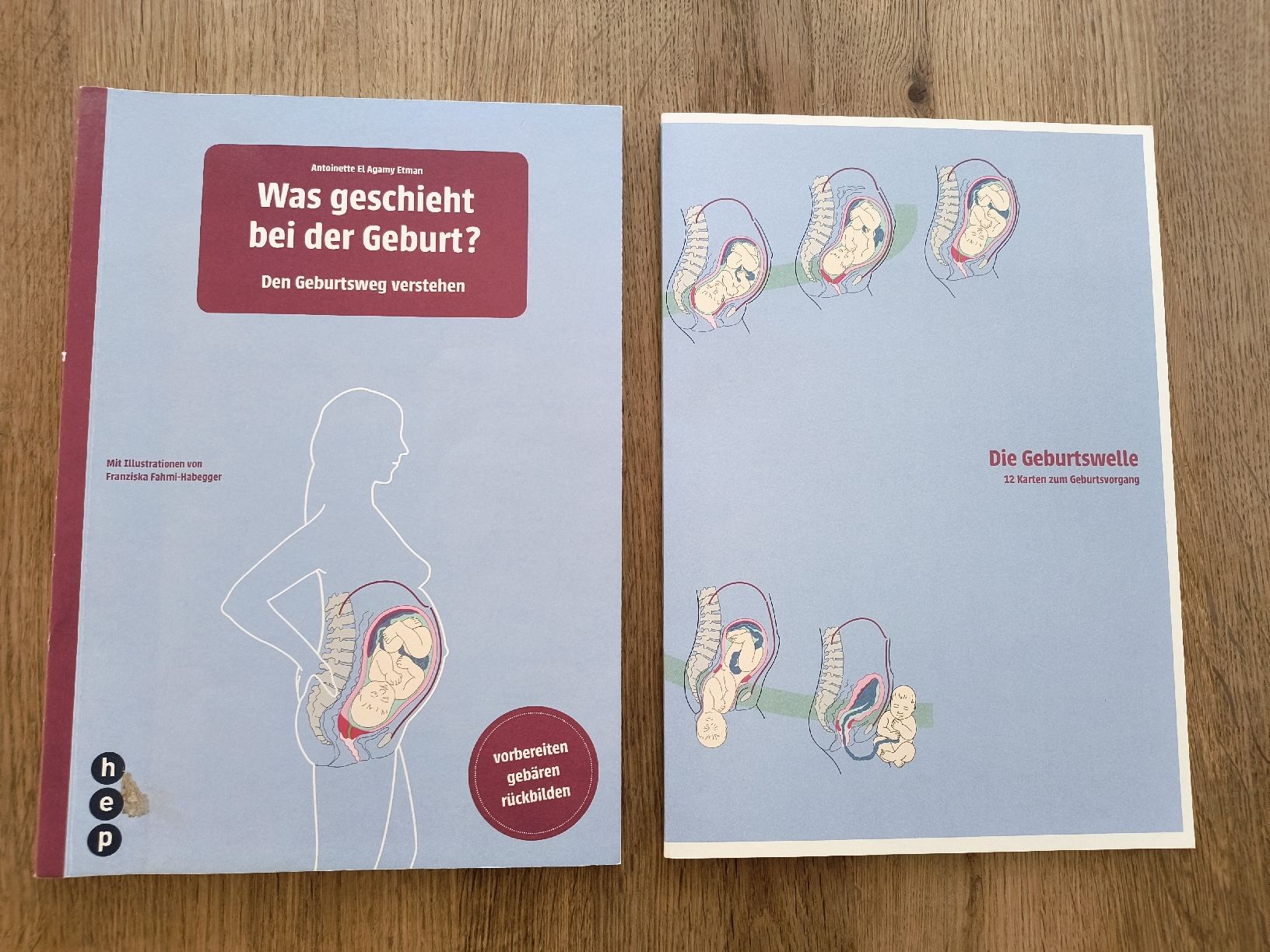 Libri: Buch Was geschieht bei der Geburt  – Usato da Bern venduto da kathiang