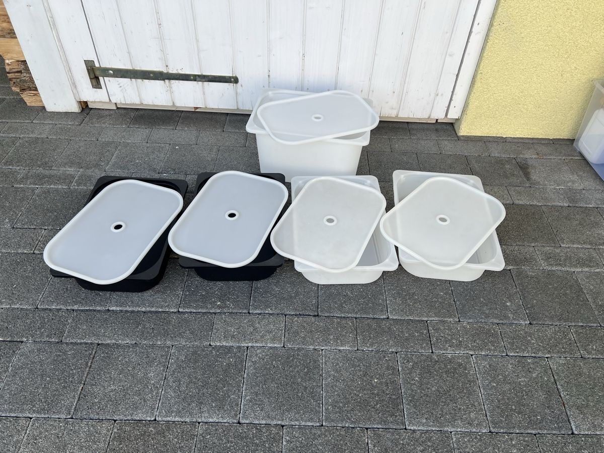 Ikea Behälter & Ähnliches: Ikea Boxen Trofast – Gebraucht aus Aegerten von pam1986
