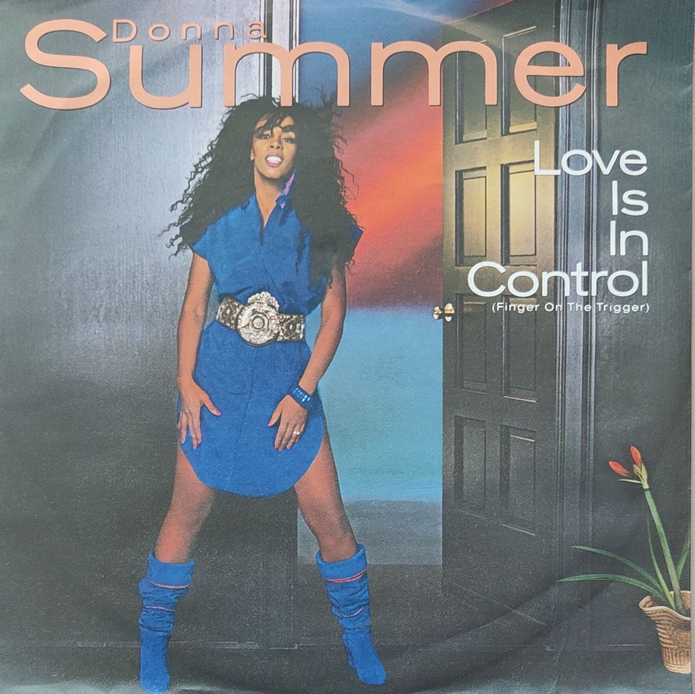 Dischi in vinile: Vinyl-Single Donna Summer - Love Is In Control – Usato da Langenthal venduto da Modo39