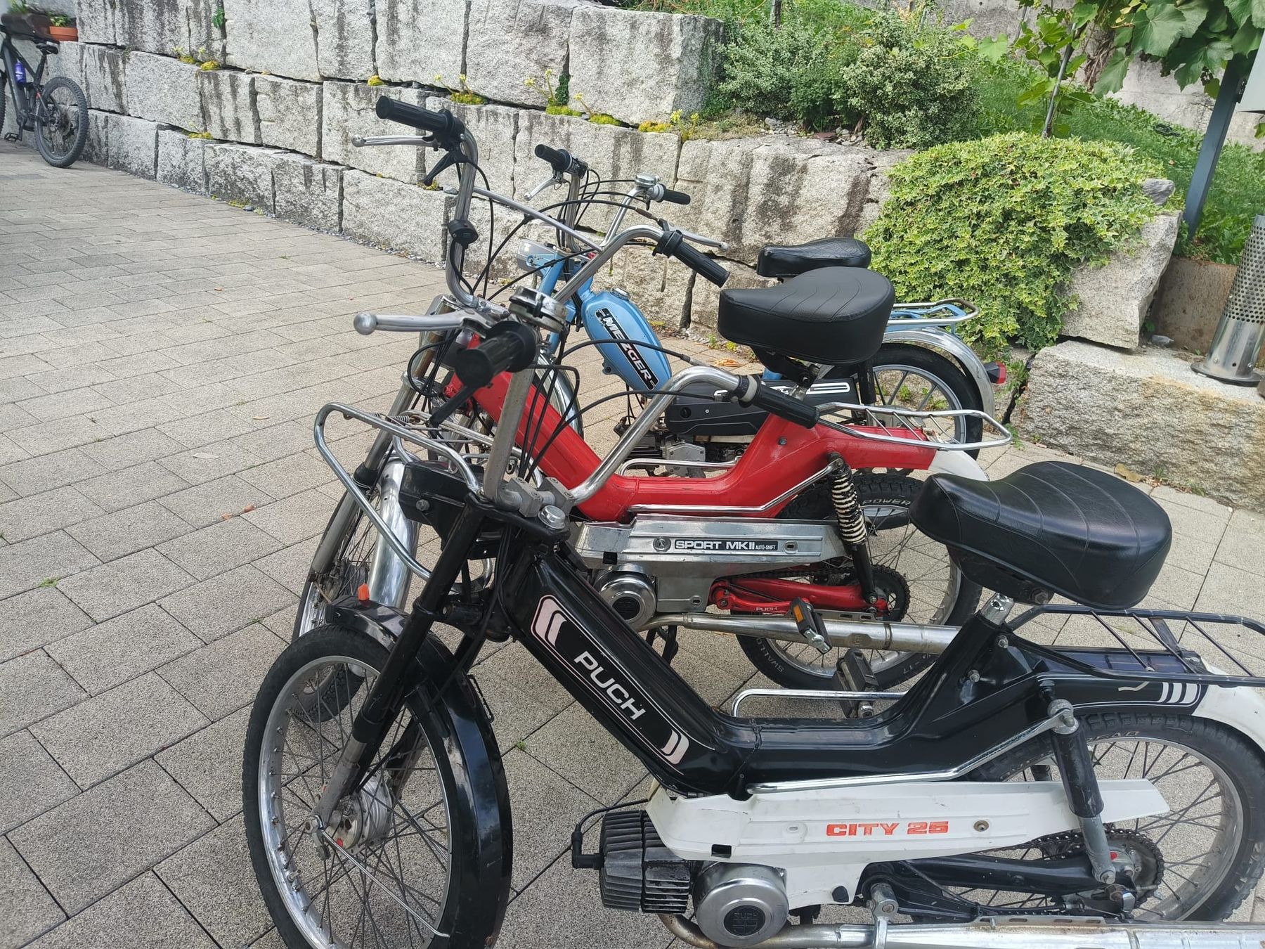 Puch Ciclomotori: 2x Puch maxi + Mezger – Usato da Heiligkreuz (Mels) venduto da Ragusa2025 3