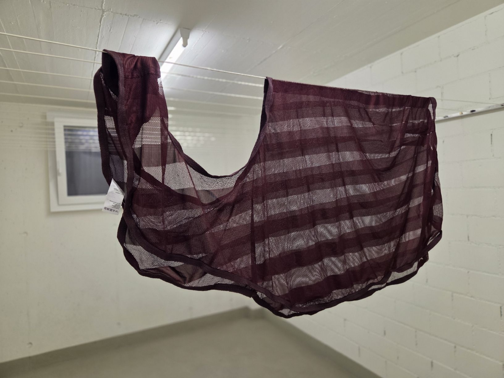 Felix Bühler Coperte: Fliegenausreitdecke 155cm – Usato da weesen venduto da Aly.R96