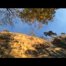 Profile image of Climber79