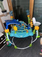 Baby Jumperoo