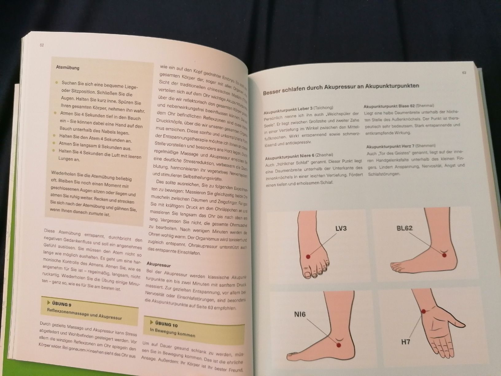 Livres: Dr. med. Anne Fleck. Schlank. Ernährungsdocs & Kochbuch – D'occasion à Wahlen b. Laufen par Aweiss 5