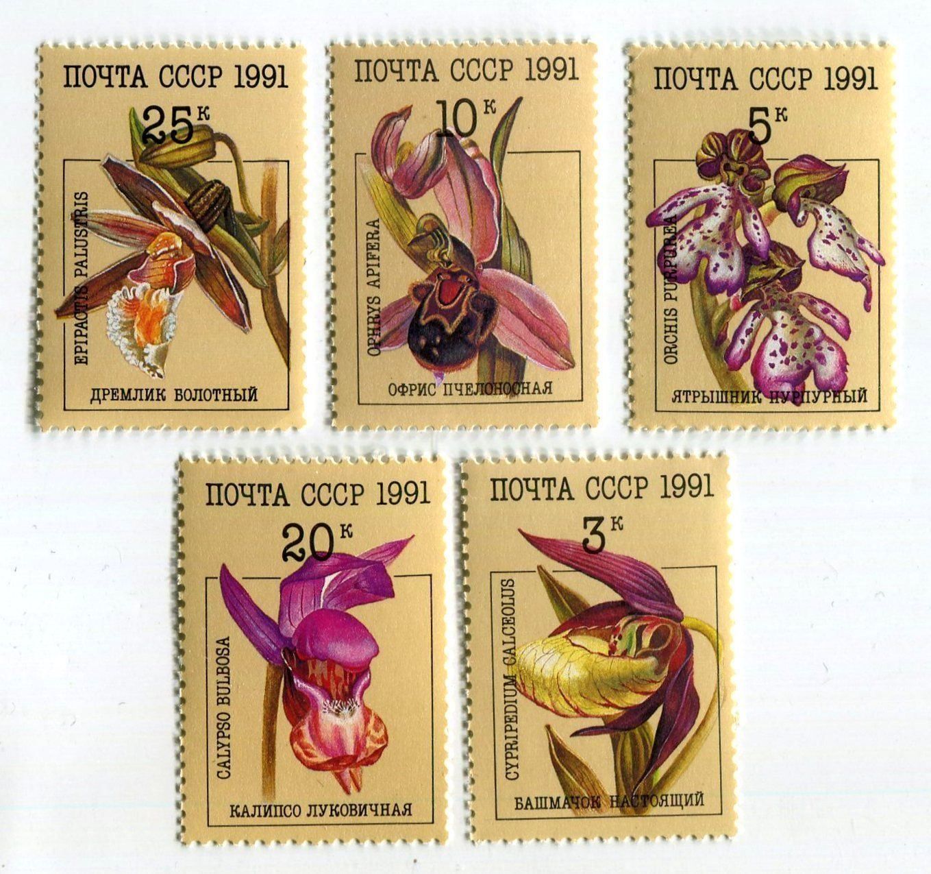 Tutti i francobolli: Briefmarken "Orchideen". UdSSR. – Nuovo e nell'imballaggio originale da Basel venduto da Butsch5