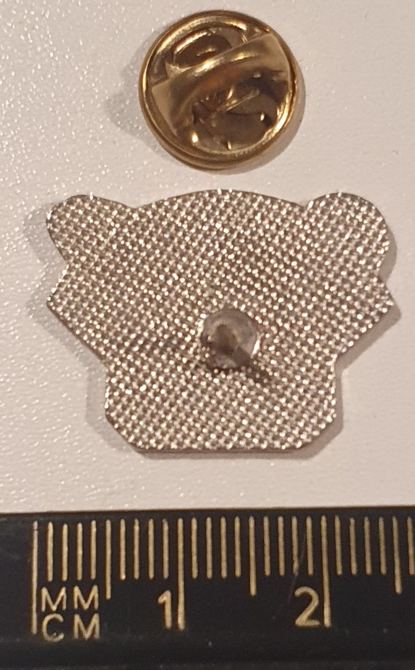 Placchette & Badge: Pin's Anicale du Rigoulet – Usato da St-Barthélemy VD venduto da titeuf5 1