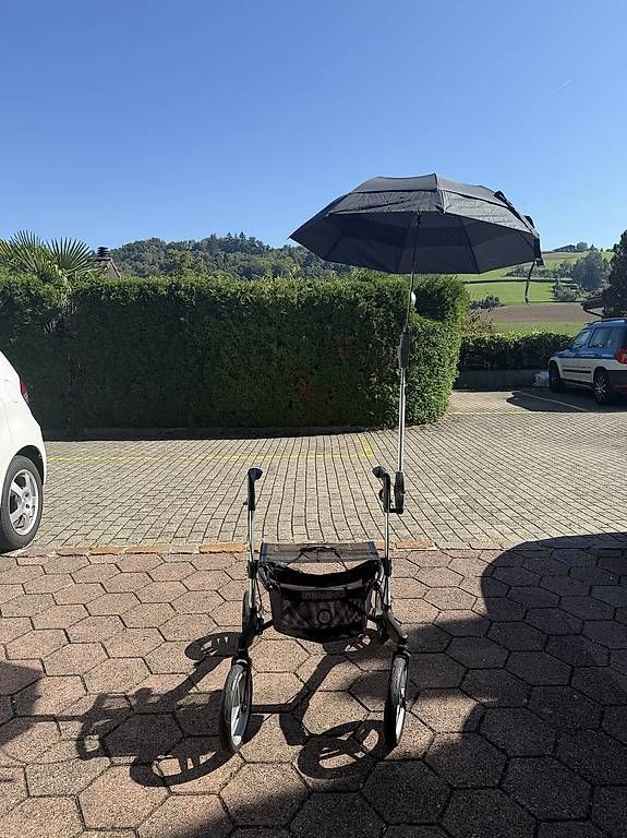Ausili per la deambulazione: Rollator 'GEMINO 60 M' – Usato da Rudolfstetten venduto da Grizzlybaer66 2