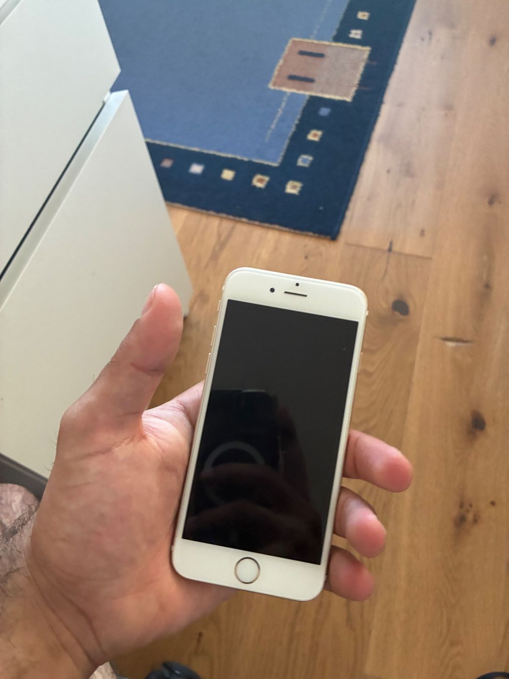 Apple Telefoni cellulari / Smartphones: iPhone 6 - 64 GB – Usato da Dielsdorf venduto da aid_6lk7 1