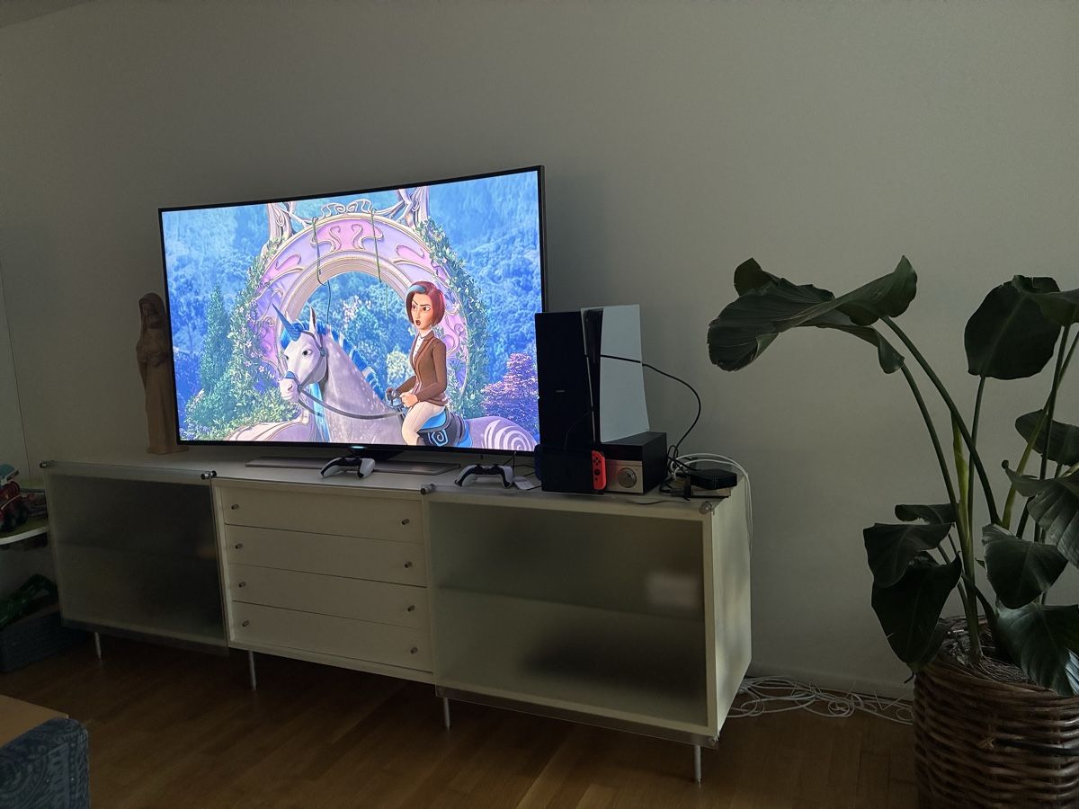 Mobili TV: Sideboard/TV-Möbel – Usato da Basel venduto da leonharda 6