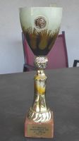 Pokal