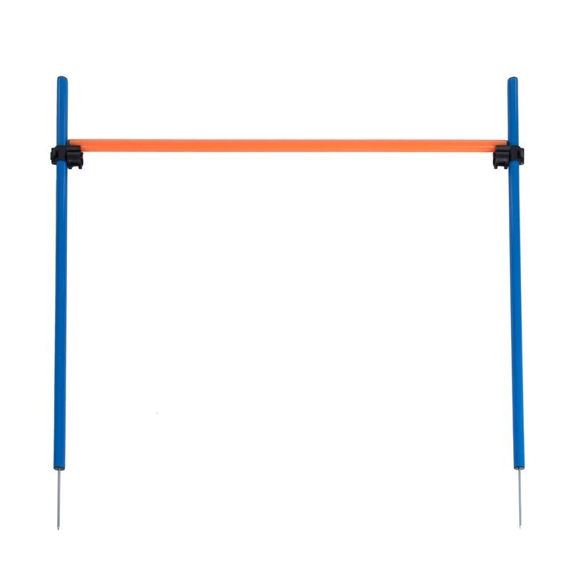 Giochi: Agility Fun & Sport Sprungring – Nuovo (secondo la descrizione) da Wangen SZ venduto da Jaay_Sky 7