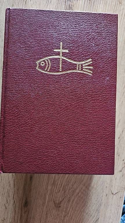 Bücher: Bibel mit Bildern – Gebraucht aus Künten von Philothea 1