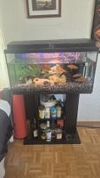 Aquarium 80L komplett mit Fischen