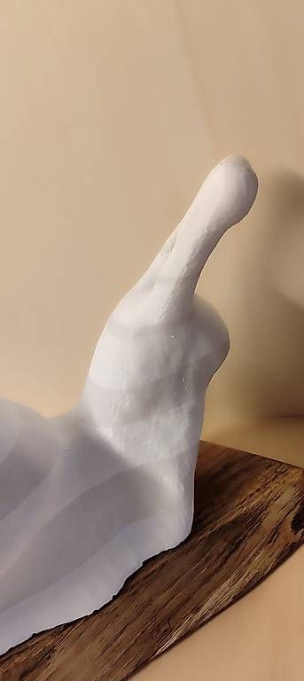 Foto & Immagini: Vendo lumaca stampata in 3D – Usato da Faido venduto da Fermo_77 4