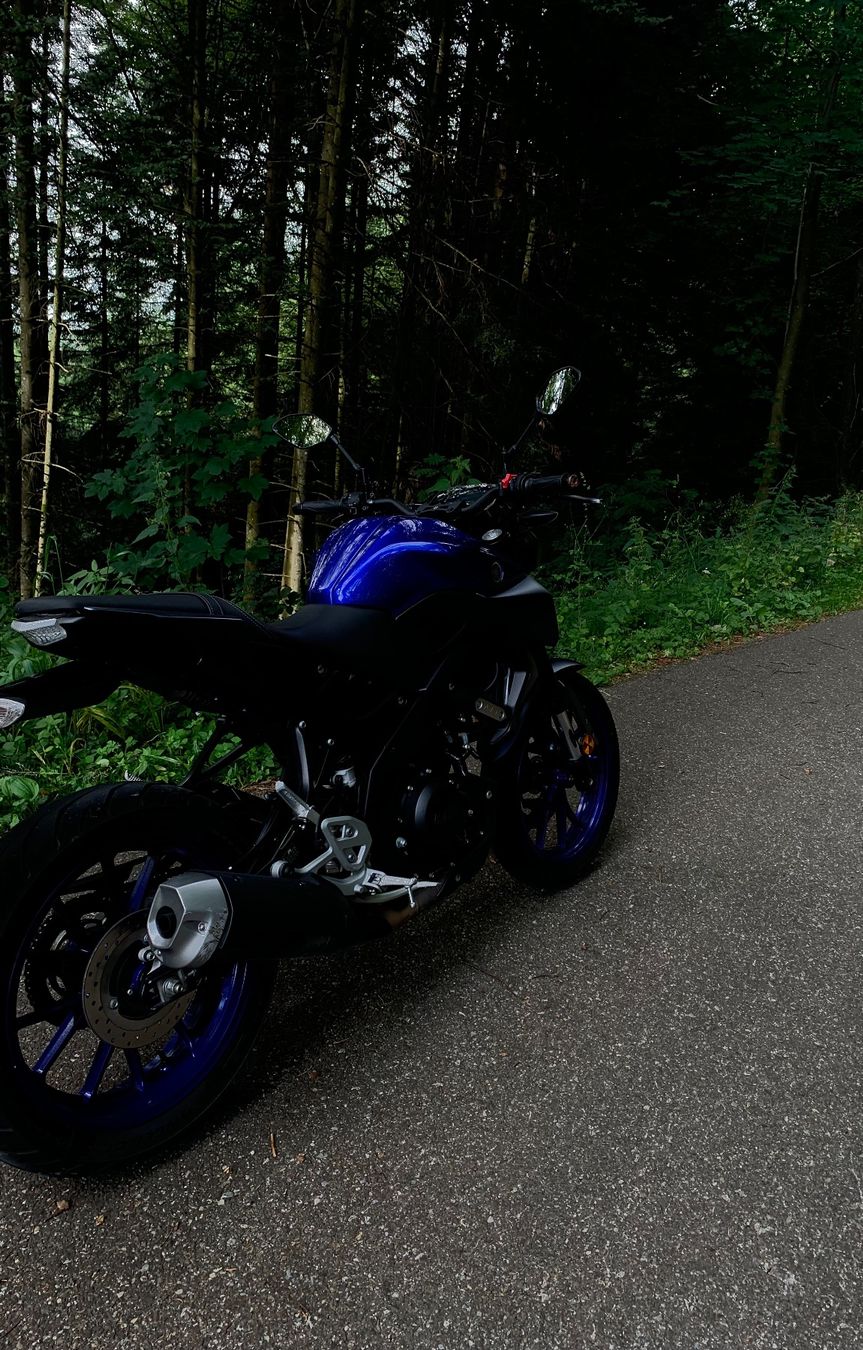 Yamaha Strasse: Yamaha MT 125 – Gebraucht aus Dagmersellen von Tira05 3