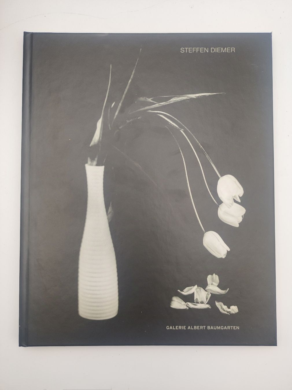 Libri: PHOTOBOOK - STEFFEN DIEMER – Nuovo (secondo la descrizione) da Goldach venduto da Gaip 9