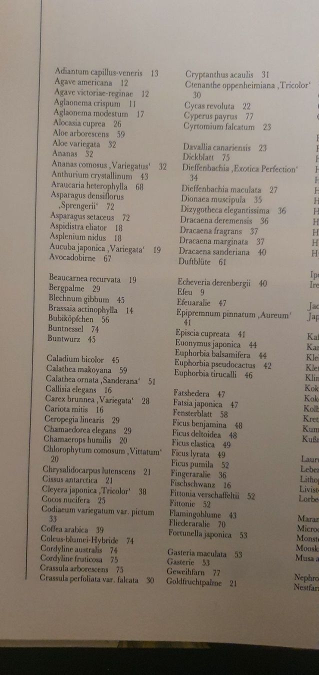 Libri: Zimmerpflanzen – Usato da Langnau am Albis venduto da jer_pm72 4