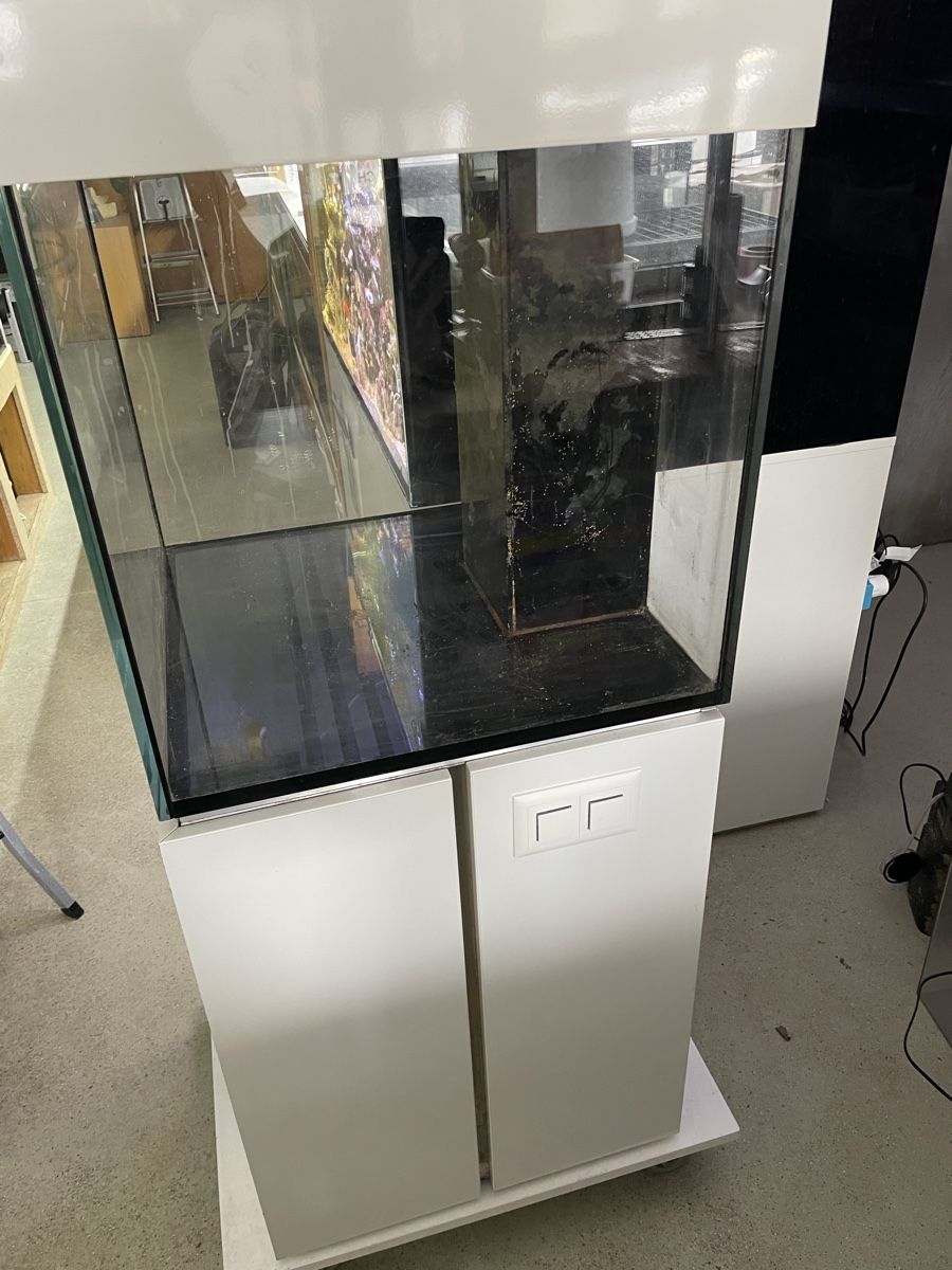 Aquarium: 210l 60x60x60 Aquarium mit Technikbecken – Gebraucht aus Oftringen von Aqualuz 4