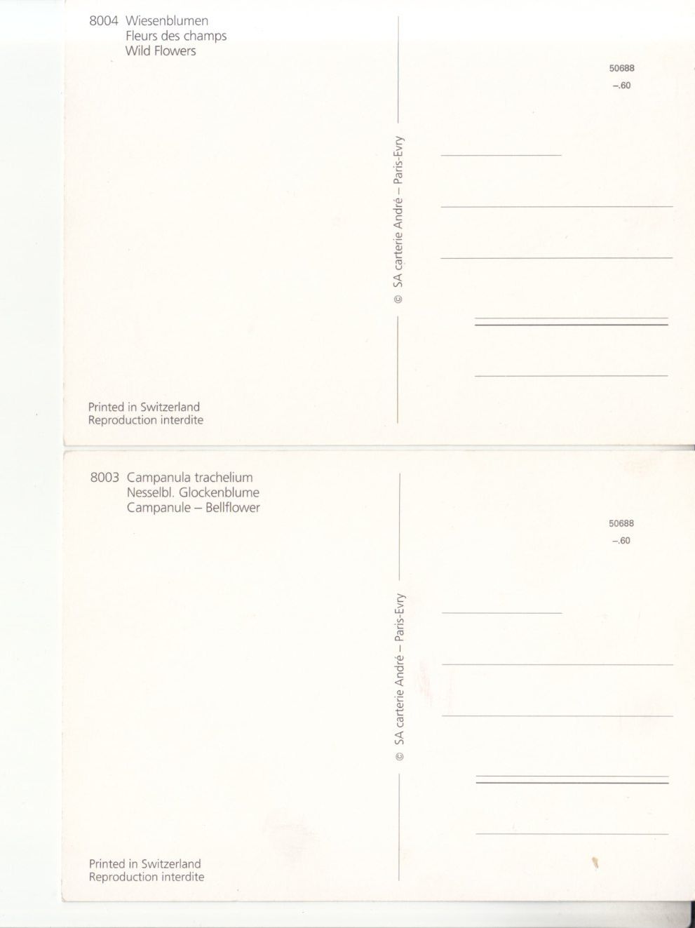 Cartoline postali: Blumenkarten 2 Stk ca. 1980 – Usato da Bürglen TG venduto da StampGraf 1