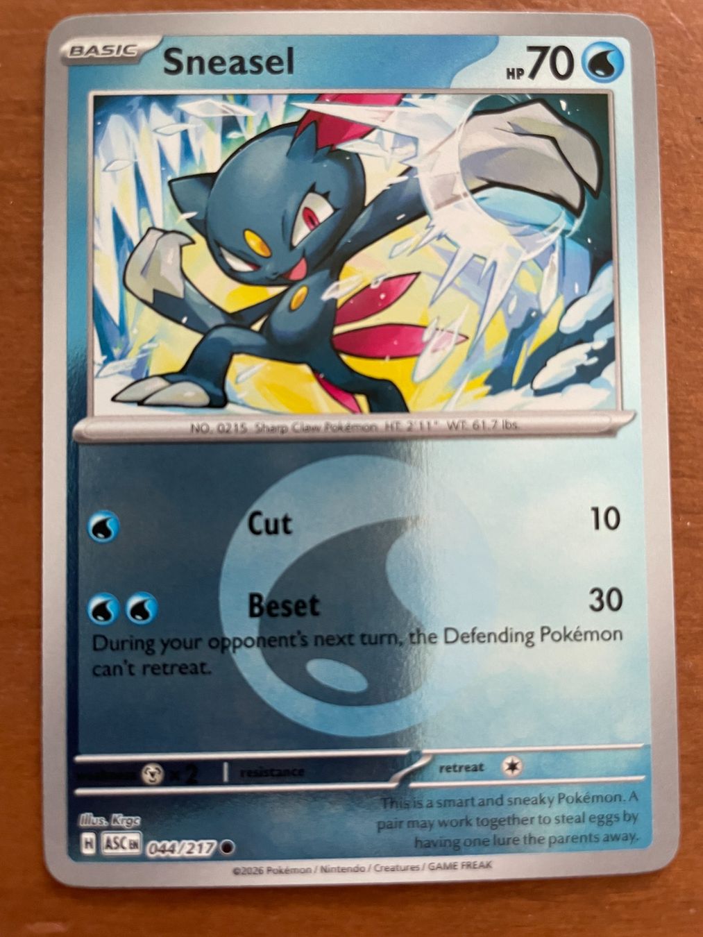 Pokémon Sammelbilder & Trading cards: Pokemon Sneasel Reverse (Versand gratis) – Neu (gemäss Beschreibung) aus Chur von Angerson