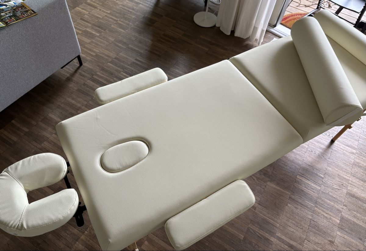 TecTake Lettini & sedie per cosmetici: Tragbare Massageliege - Praktisch Neu – Nuovo (secondo la descrizione) da Basel venduto da Shogan 1