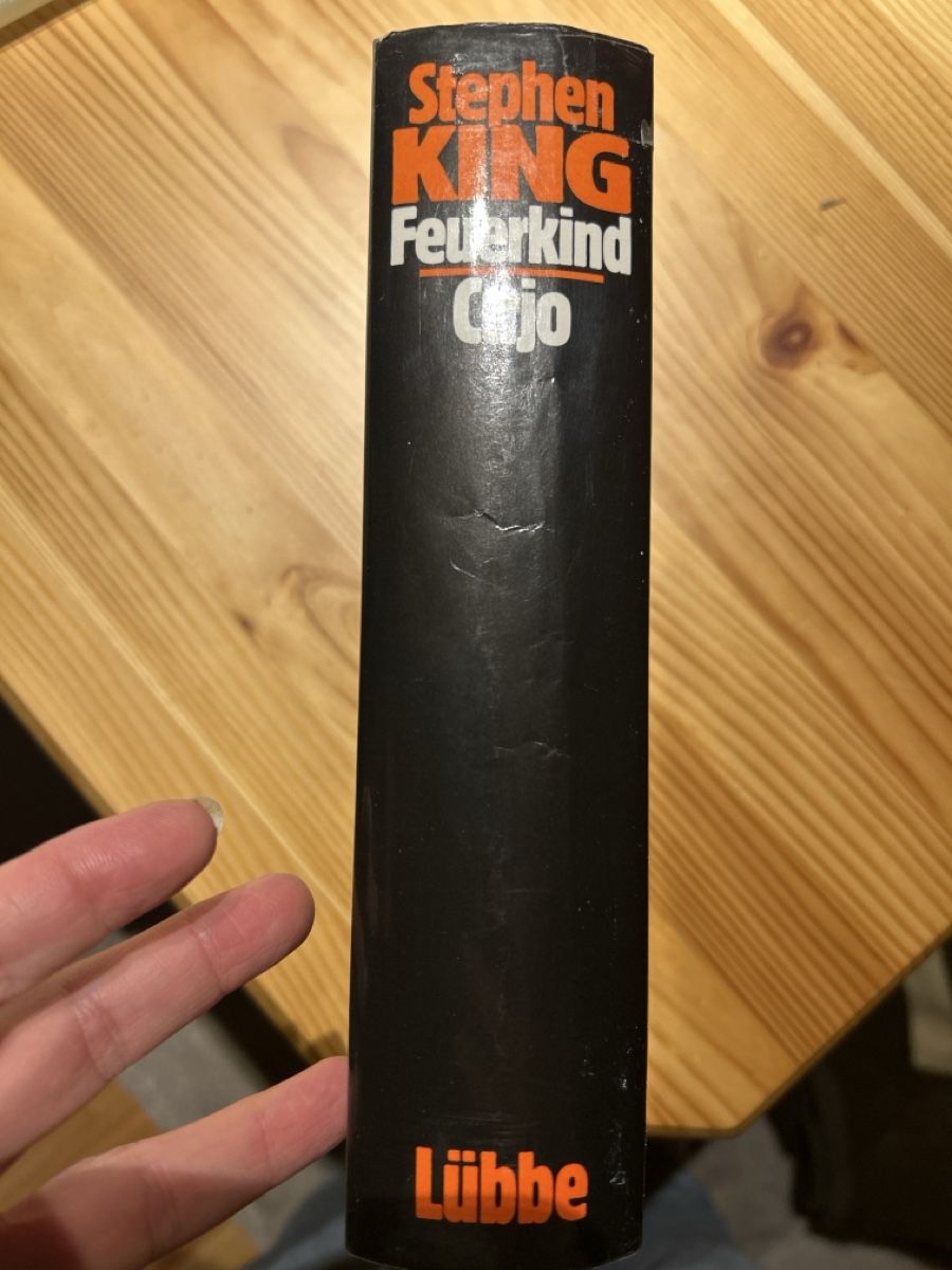 Libri: Stephen King: Feuerkind / Cujo – Usato da Brunnen venduto da Liluzick 3