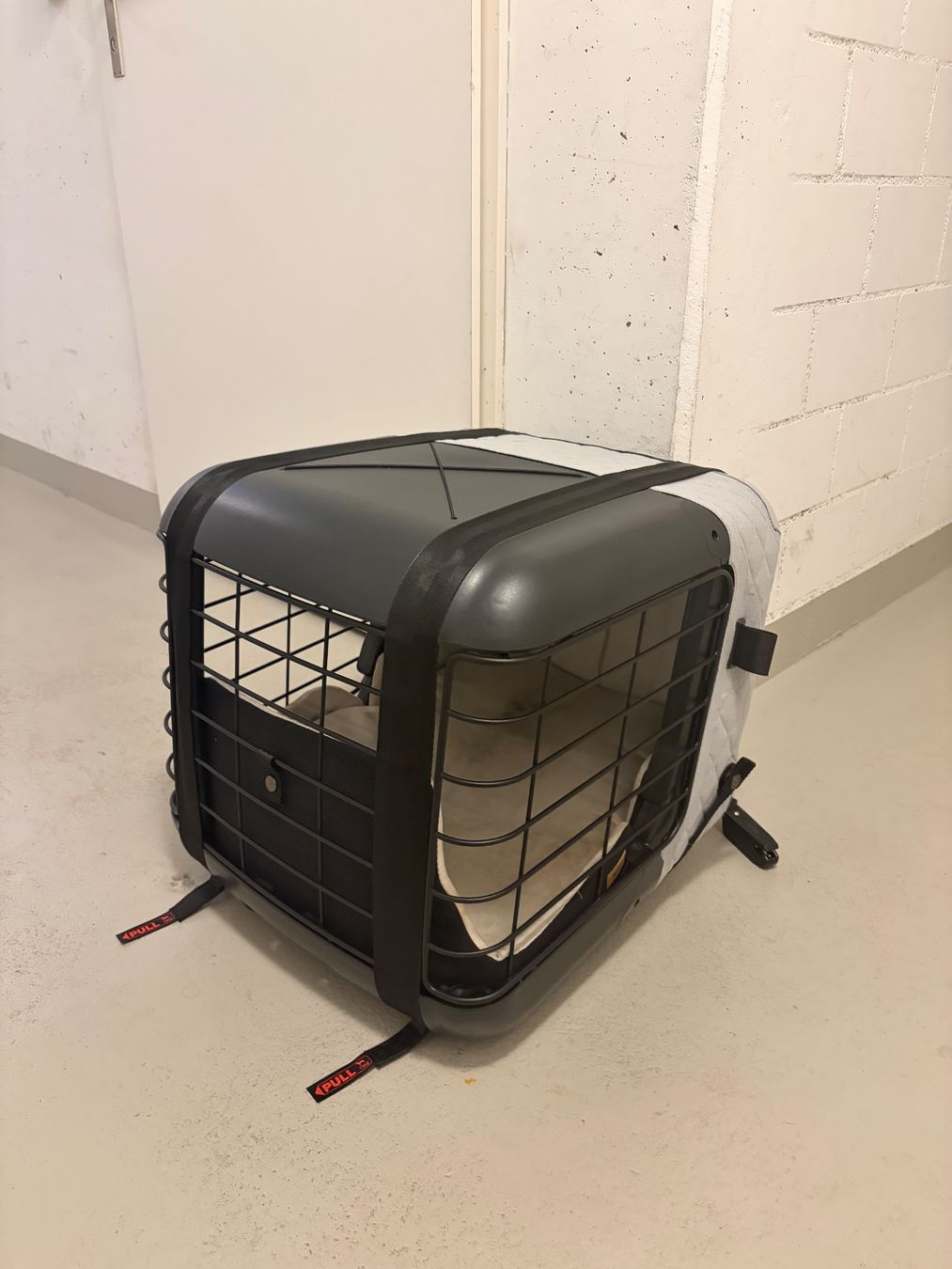 Liege- & Schlafplätze: 4Pets Caree Hundebox – Gebraucht aus rheinfelden von inkmorphose03