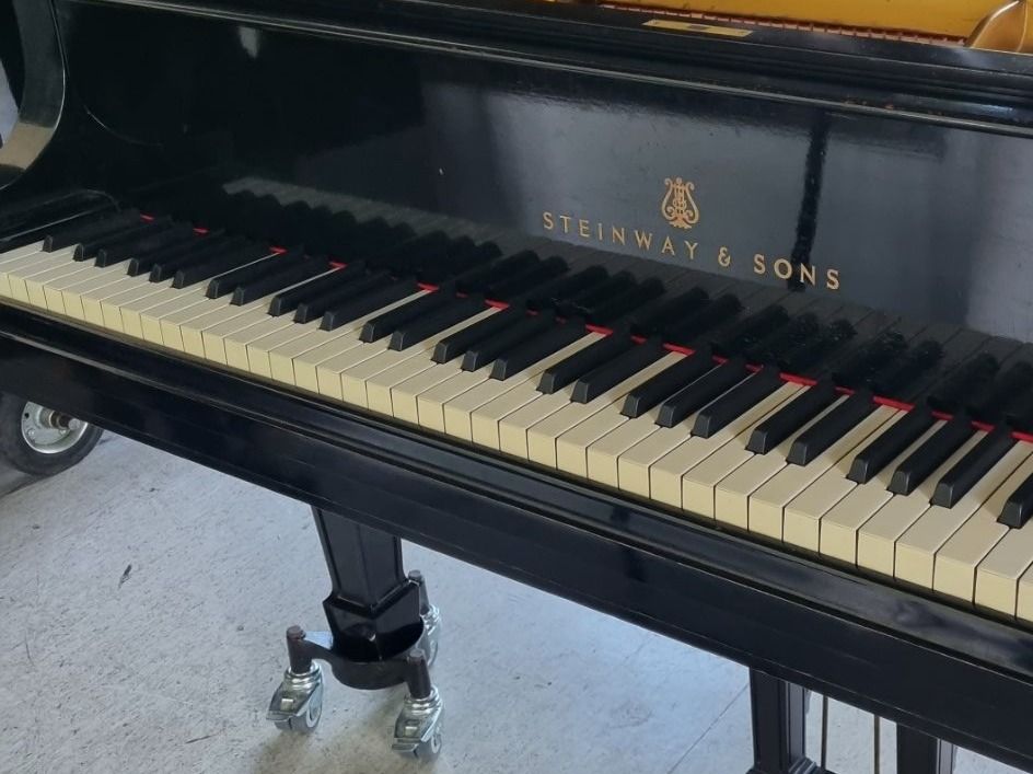 Steinway Strumenti musicali: Steinway B revidiert  1928 Boston – Usato da Winterthur venduto da hadok7