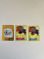 Panini: RSA 1, RSA 6, RSA 17