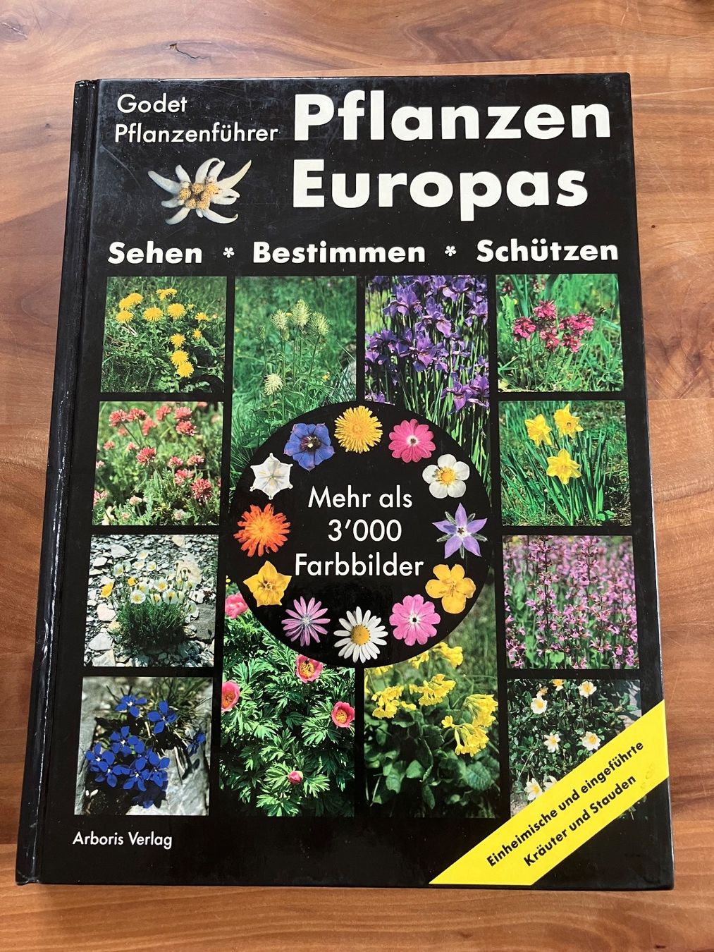 Libri: Pflanzen Europas – Usato da Bern venduto da sturmmoewe