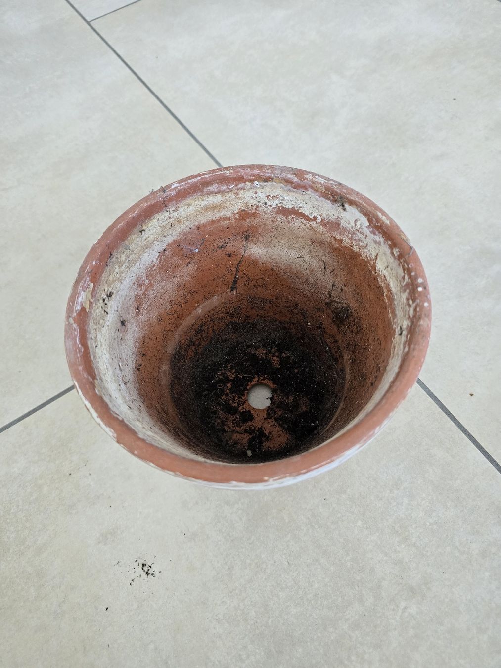 Pots de fleurs: Blumentopf / Tontopf – D'occasion à Rickenbach b. Wil par Kth_v8 1