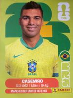 Panini BRA10
