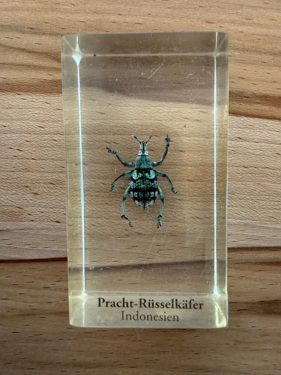 Riviste & Magazine: Mini Biester Heft und block Nr. 9 – Usato da Grenchen venduto da Bastet007 2