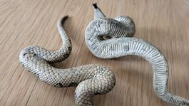 Schleich Schlangen 2 Stck. gebraucht