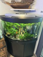 Juwel Trigon 190 Aquarium komplett mit Zubeh. & Eheim Filter