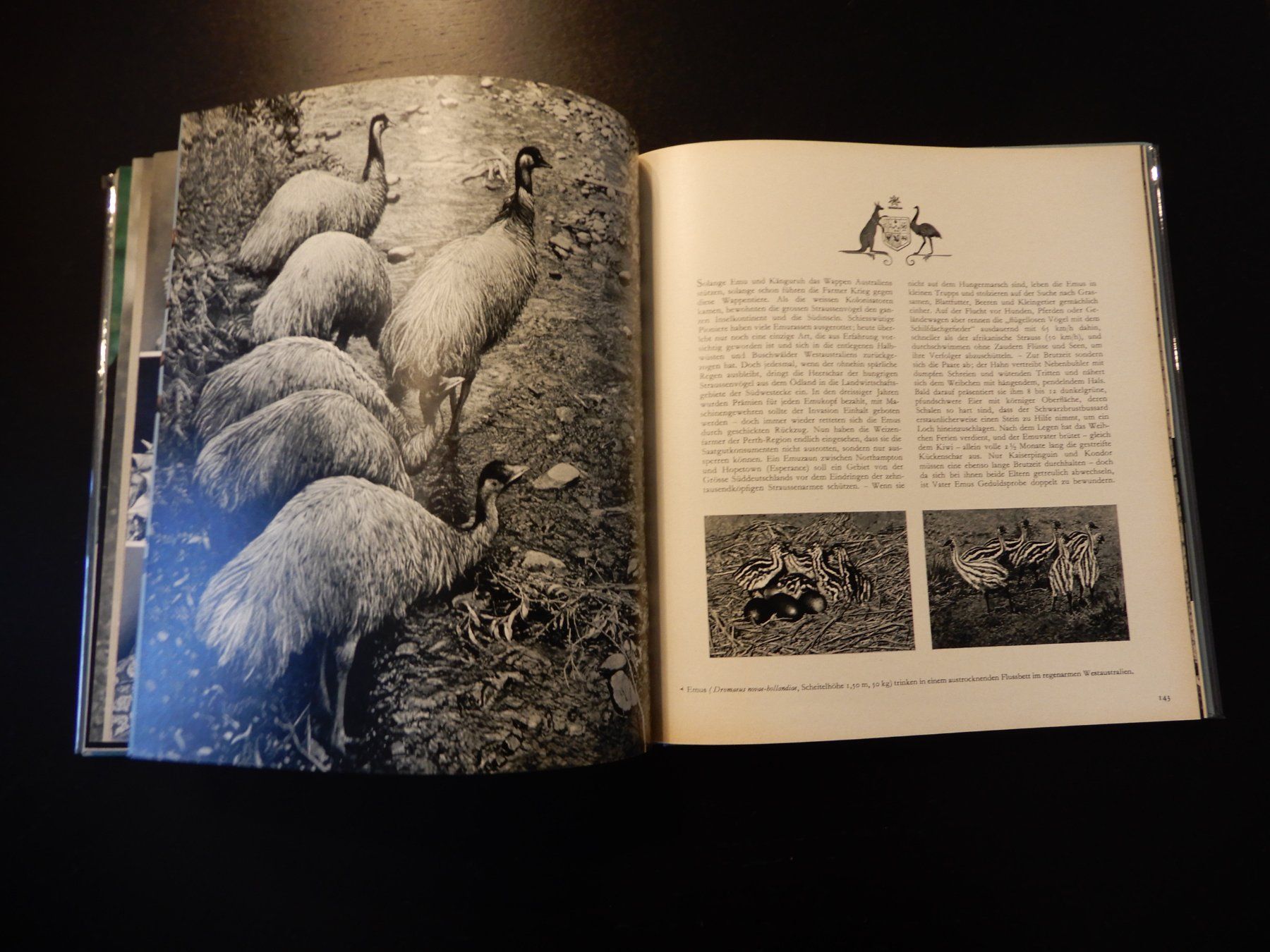 Libri: Fauna ferner Inseln - neuwertig 1965 – Usato da Erstfeld venduto da Mario_boe0 6