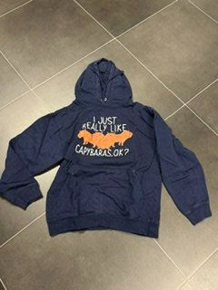 Pullover & Sweatshirts: Cabybarra Kapuzen Pullover 158/164 – Gebraucht aus Gommiswald von Anika6