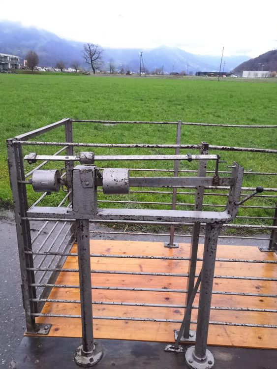 Perfk Digitale Tierwaage - Präzise Waage Für Kleintiere Bis 5kg