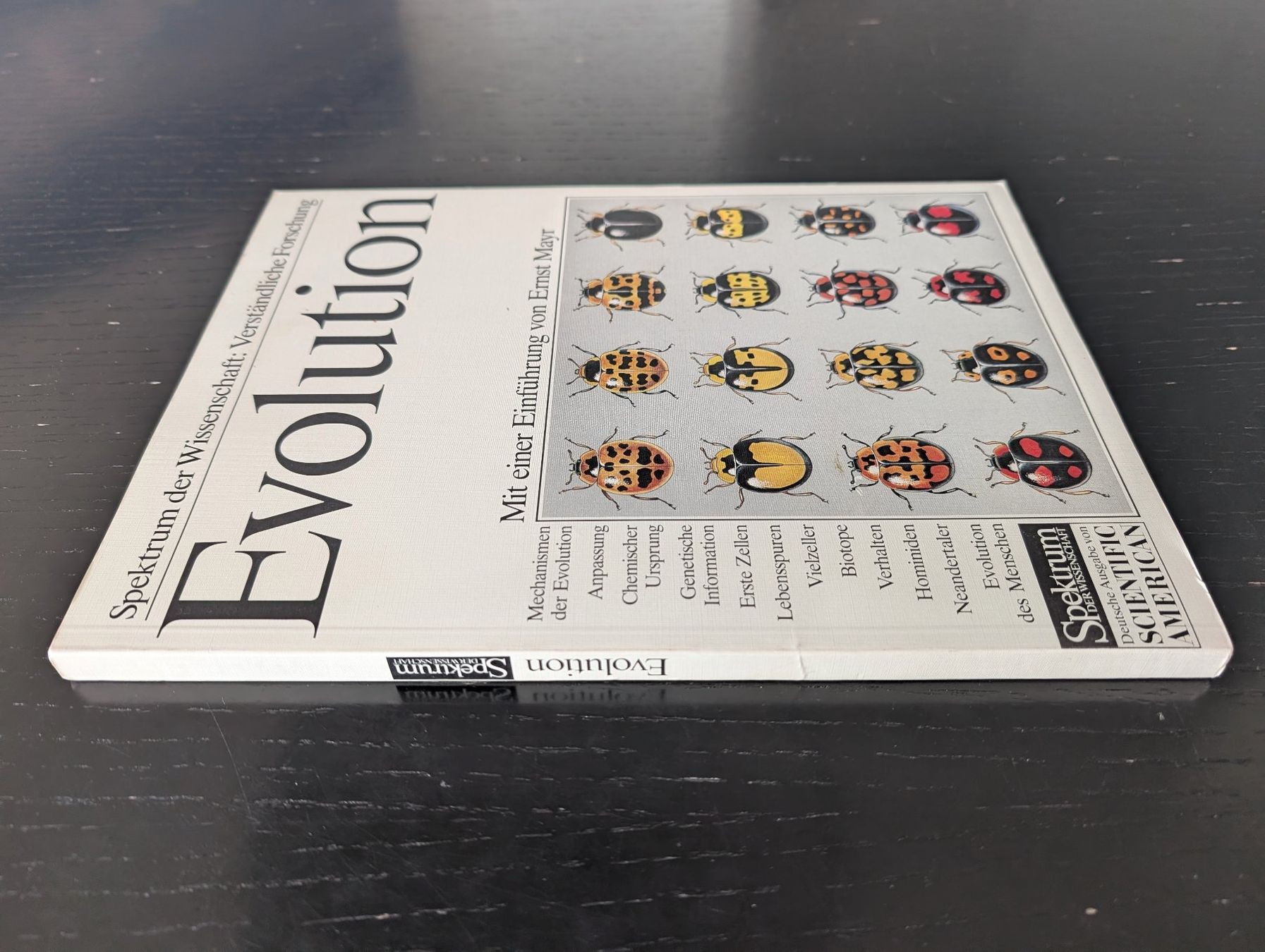 Livres: Spektrum der Wissenschaft: Evolution – D'occasion à Thalwil par sultan03 2