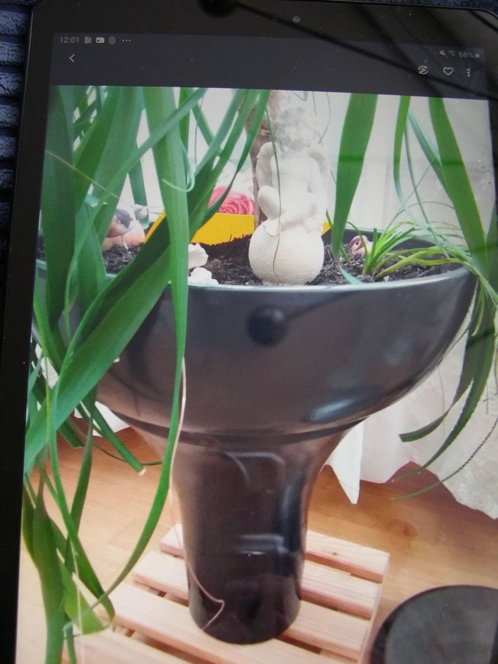 Stagni & Fontane ornamentali: SPRINGBRUNNEN- PFLANZENSCHALE (Gross) – Usato da Thun venduto da Catfriends 2