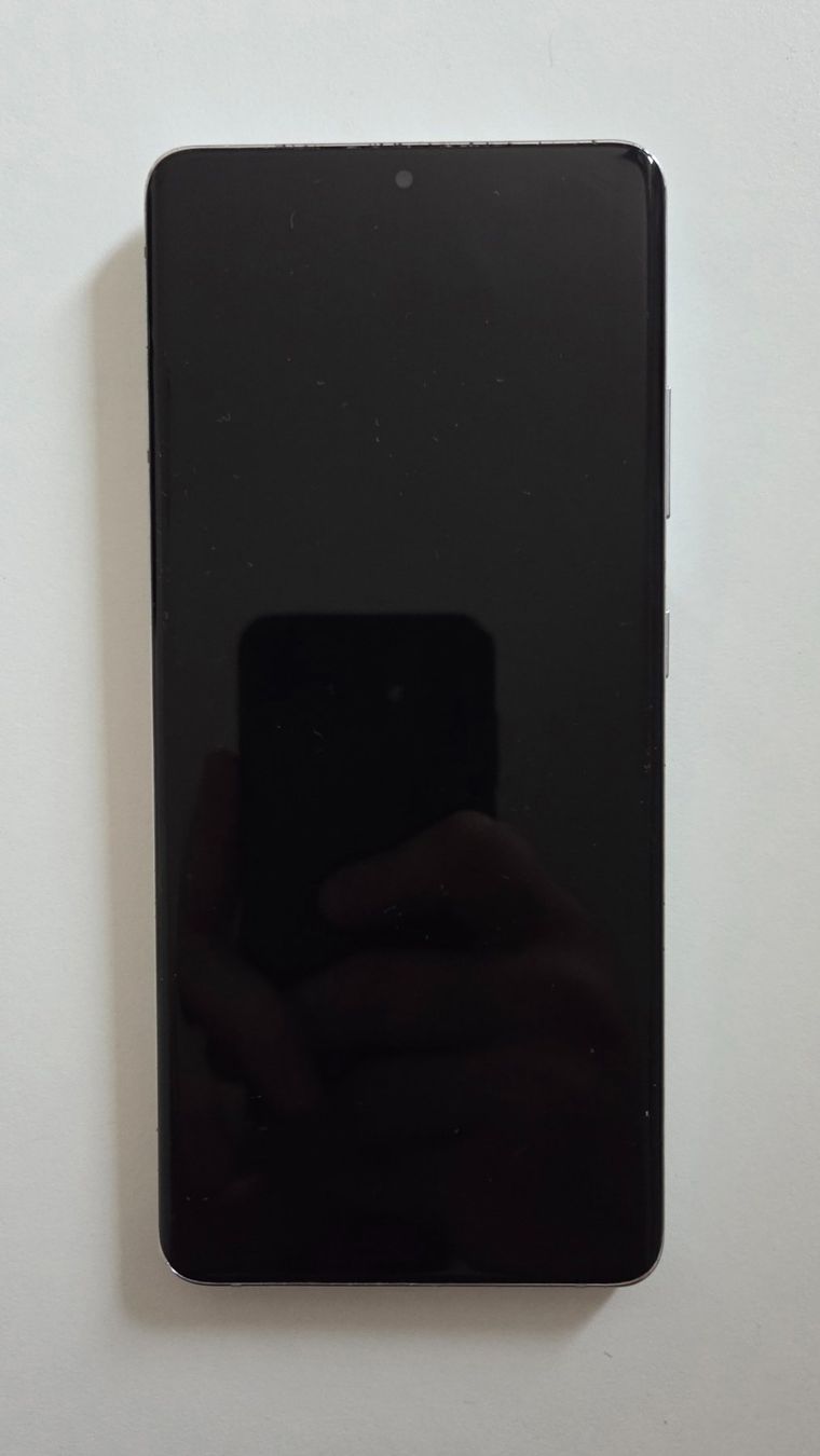 Samsung Telefoni cellulari / Smartphones: Samsung Galaxy S21 Ultra 256Gb Phantom Silver – Usato da Pfäffikon ZH venduto da Nic_8 2